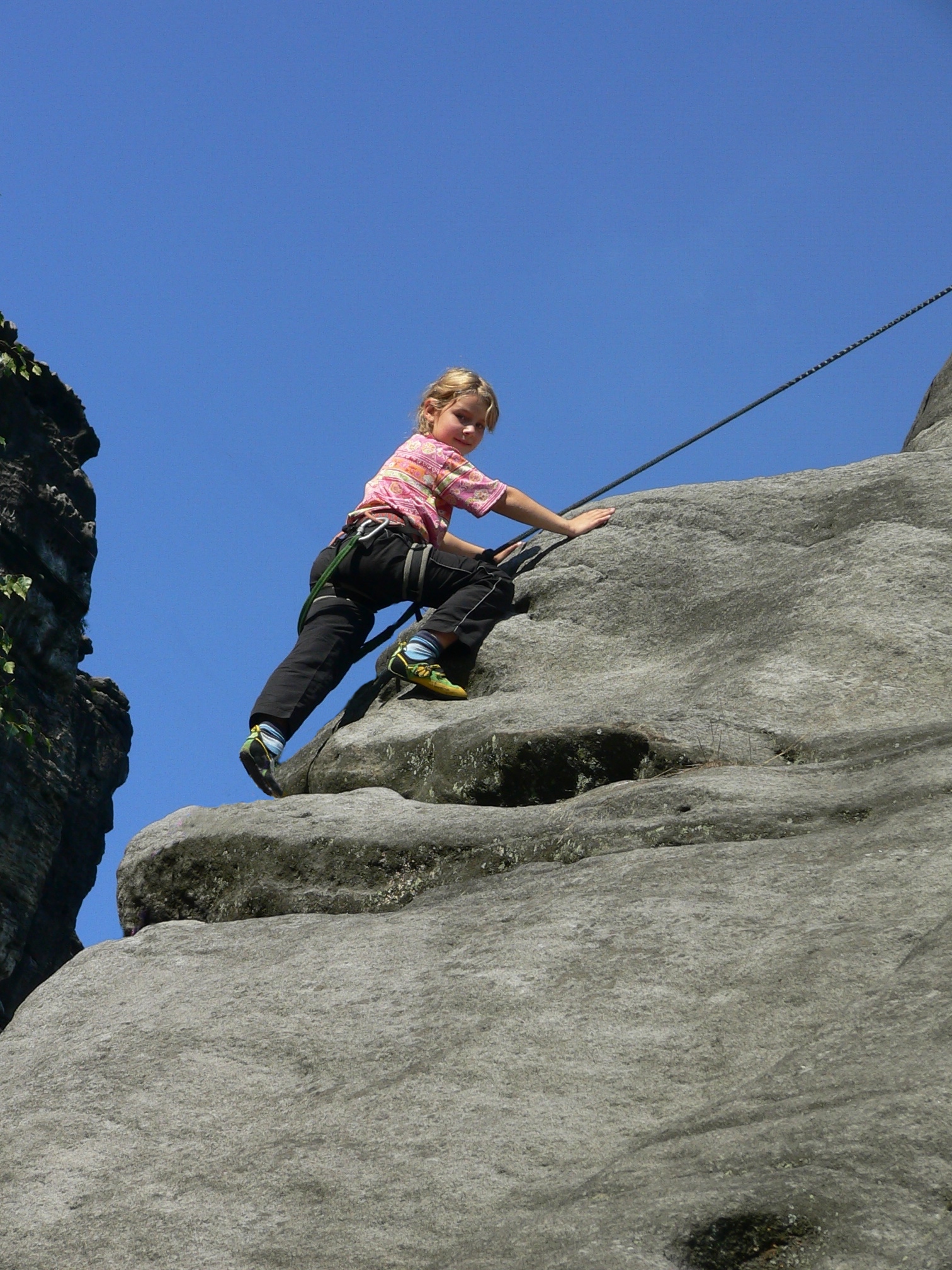 Jasmin an Nadelkante
