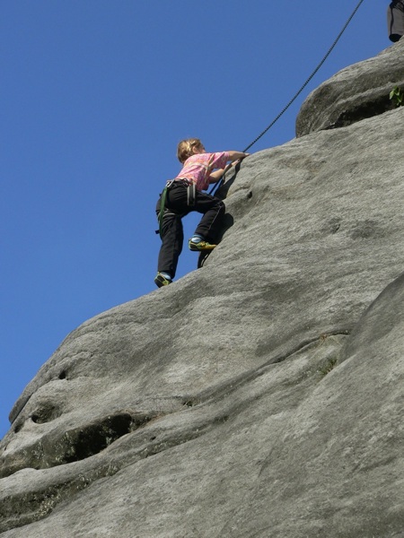 Jasmin an Nadelkante