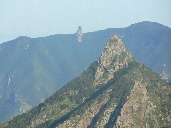 Roque de Anambra