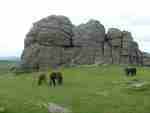 Haytor