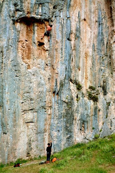 Sektor Aloni, Arpyia