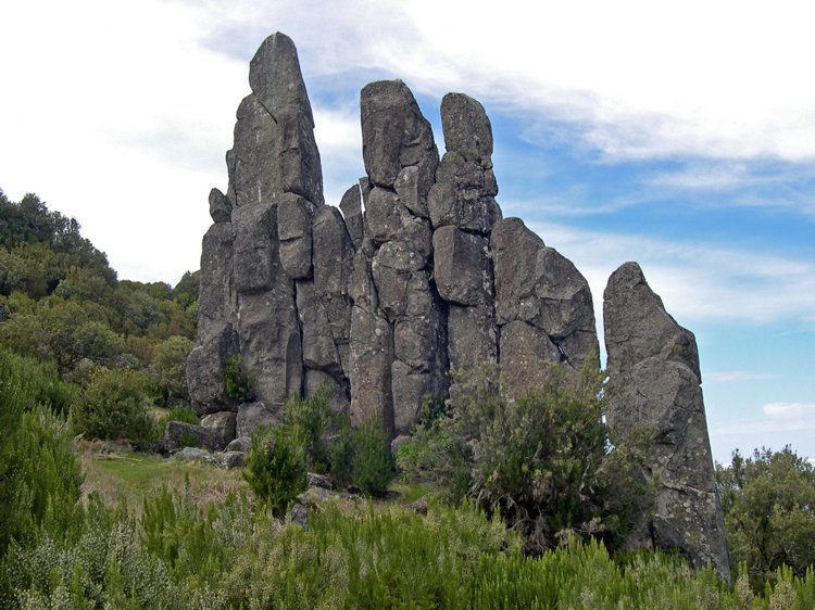 Aufrechtstehender Mann