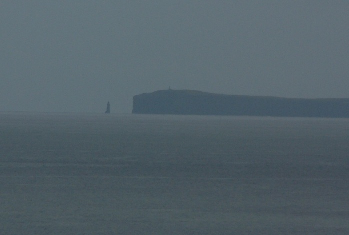 Felsnadel an Desertas