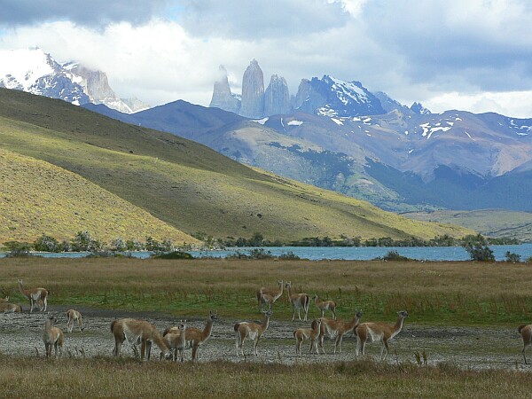 Torres del Paine