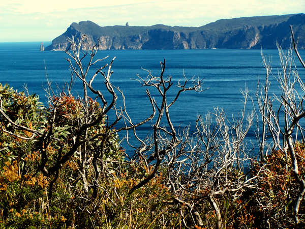Cape Pillar von Norden