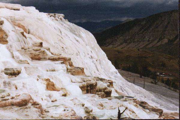 Mammoth Springs