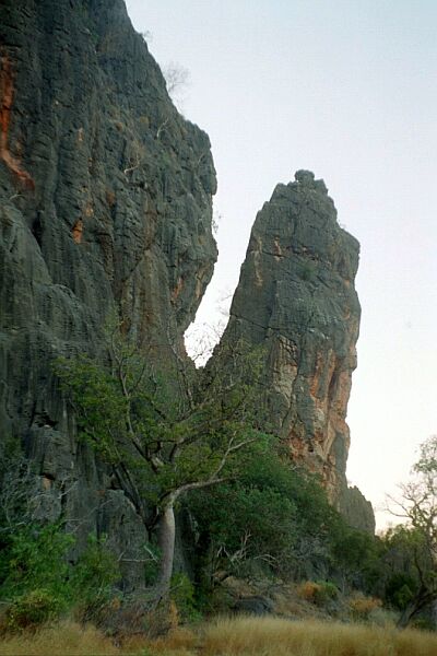 Kimberey - Windjana Gorge