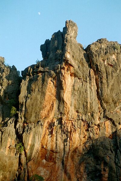 Kimberey - Windjana Gorge